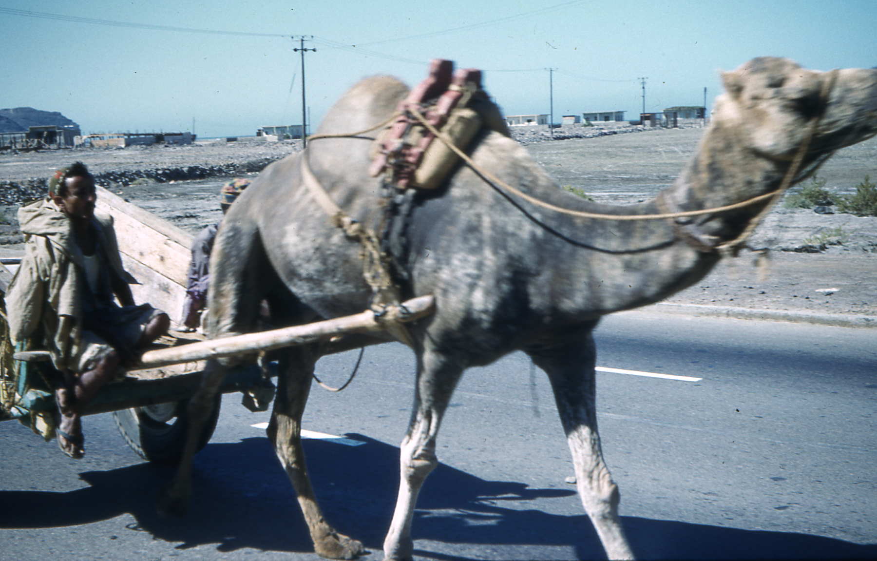 Army_Pics_195961_A_Eaton_plus_Beverley_puics_Aden_287.jpg